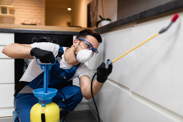 Best Wasp Removal Services  in Coal Valley, IL