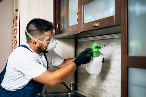 Reliable Coal Valley, IL Pest Control Solutions