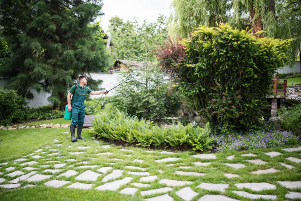 Best Pest Removal Services  in Coal Valley, IL