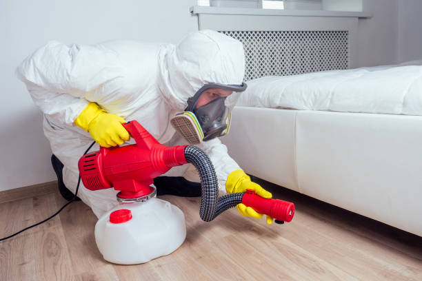 Best Flea Control Services  in Coal Valley, IL