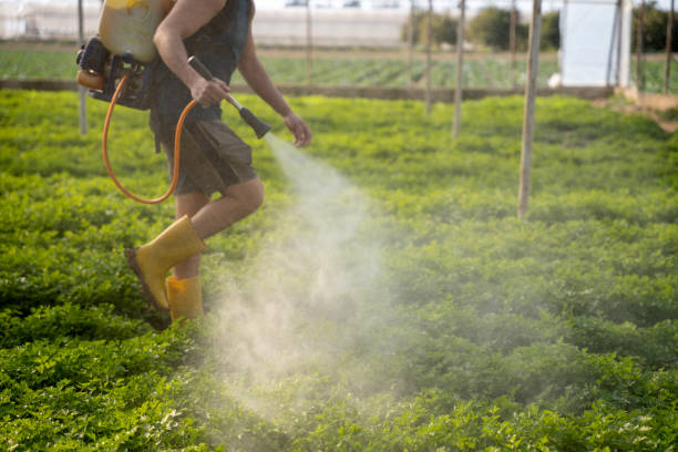 Best Pest Control Near Me  in Coal Valley, IL