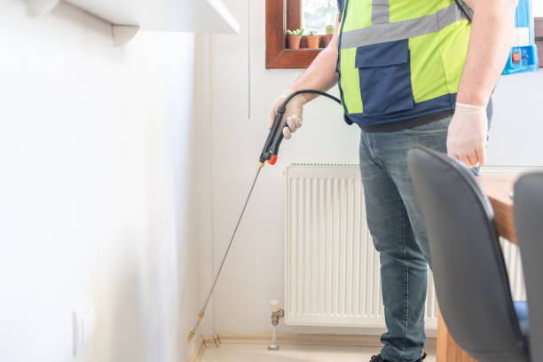 Best Termite Control Services  in Coal Valley, IL