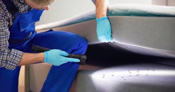 Trusted Coal Valley, IL Pest Control Experts