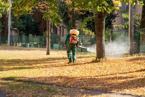 Best Wasp Removal Services  in Coal Valley, IL