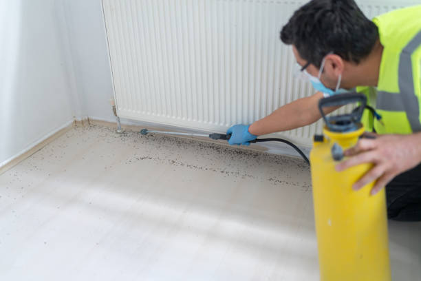 Best Best Pest Control Companies  in Coal Valley, IL